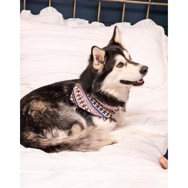 Lazy One Reversible Dog Bandana Cute Accessories for Pets Stripes MediumLarge LabsGingerbread Dog Bandana