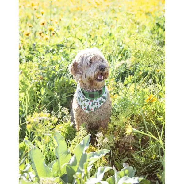 Lazy One Reversible Dog Bandana Cute Accessories for Pets Stripes MediumLarge LabsNo Peeking Dog Bandana