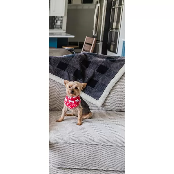 Lazy One Reversible Dog Bandana Cute Accessories for Pets Stripes MediumLarge LabsNordic Dog