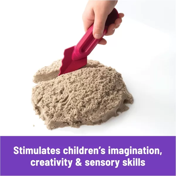 Kinetic Sand Mermaid Palace Playset Over 2lbs of Shimmer Play Sand Neon Purple Shimmer Teal and Beach Sand Reusable Folding Sandbox and Tools Sensory Toys for Kids Ages 3 and upFolding Sand Box