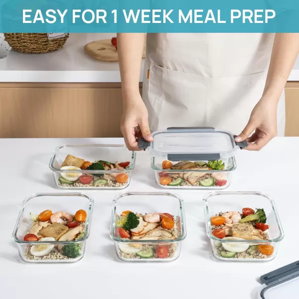 Vtopmart 10Pack 22oz Glass Food Storage Containers with Lids Meal Prep Containers Airtight Lunch Containers Bento Boxes with Snap Locking Lids for Microwave Oven Freezer and Dishwasher