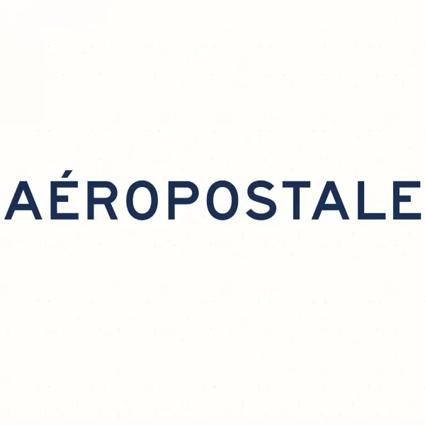 Aeropostale Cozy Sherpa Bean Bag Sofa Chair for Kids Teens and Adults Navy