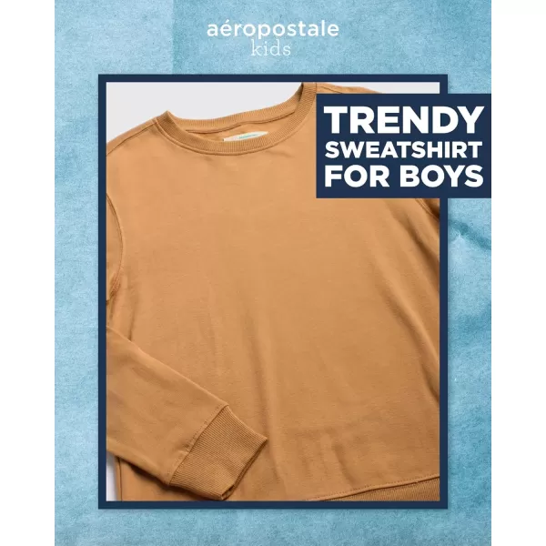 AEROPOSTALE Boys Sweatshirt  Kids Fleece Long Sleeve Crewneck Pullover  Youth Pullover Sweatshirt for Boys 816Coffee