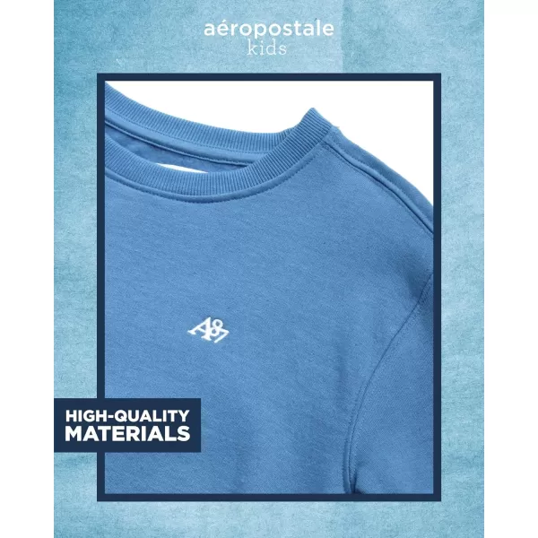 AEROPOSTALE Boys Sweatshirt  Kids Fleece Long Sleeve Crewneck Pullover  Youth Pullover Sweatshirt for Boys 816Parisian Blue