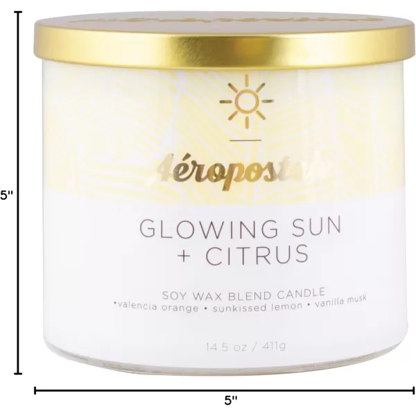 Aeropostale Candle Scented Candles Glowing Sun  Citrus Soy Candle