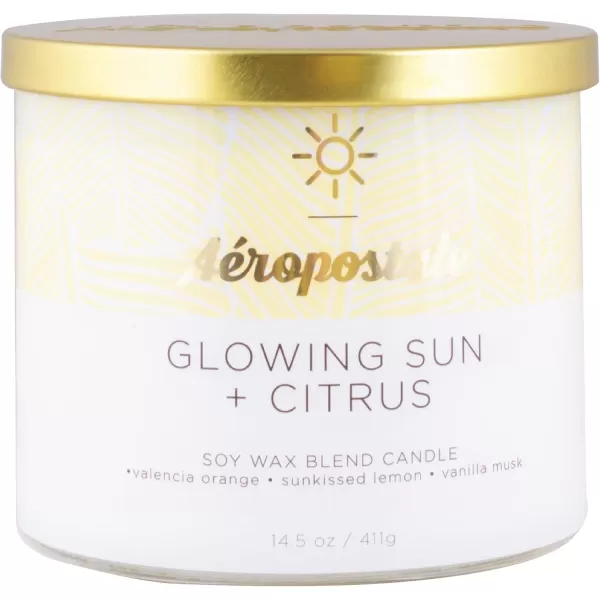 Aeropostale Candle Scented Candles Glowing Sun  Citrus Soy Candle