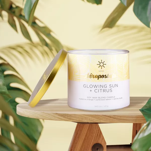 Aeropostale Candle Scented Candles Glowing Sun  Citrus Soy Candle