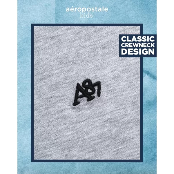 AEROPOSTALE Boys TShirt  Kids Basic Cotton Short Sleeve Shirt  Classic Crewneck Graphic Tee for Boys 416Grey