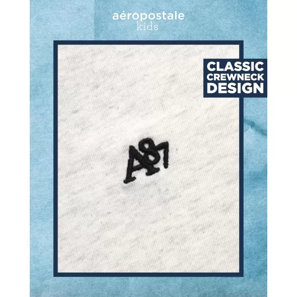 AEROPOSTALE Boys TShirt  Kids Basic Cotton Short Sleeve Shirt  Classic Crewneck Graphic Tee for Boys 416Oatmeal