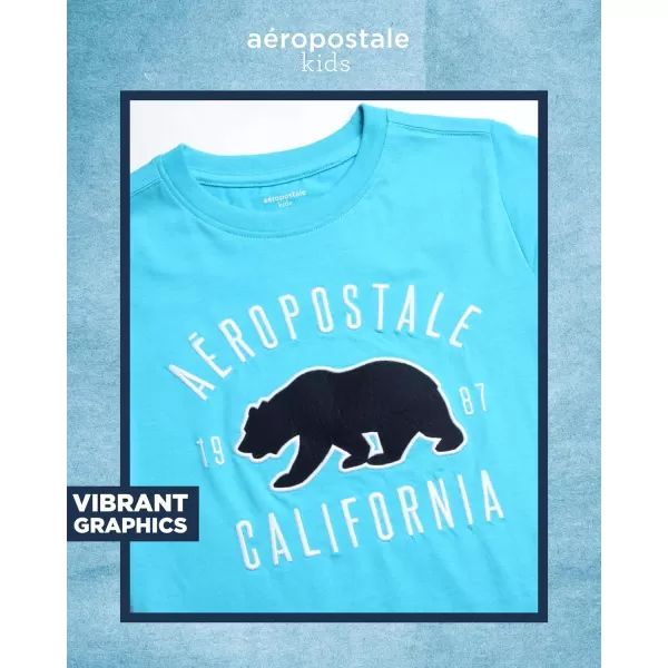 AEROPOSTALE Boys TShirt  Kids Cotton Short Sleeve Shirt  Classic Crewneck Graphic Tee for Boys 416River Blue