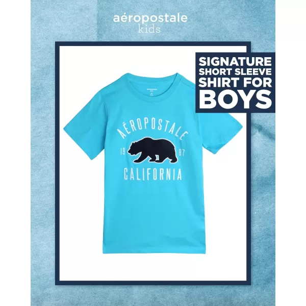 AEROPOSTALE Boys TShirt  Kids Cotton Short Sleeve Shirt  Classic Crewneck Graphic Tee for Boys 416River Blue