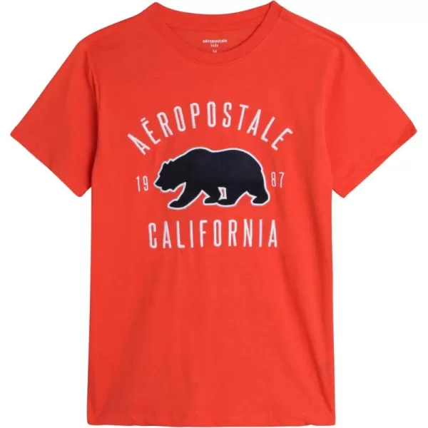 AEROPOSTALE Boys TShirt  Kids Cotton Short Sleeve Shirt  Classic Crewneck Graphic Tee for Boys 416Ember Red