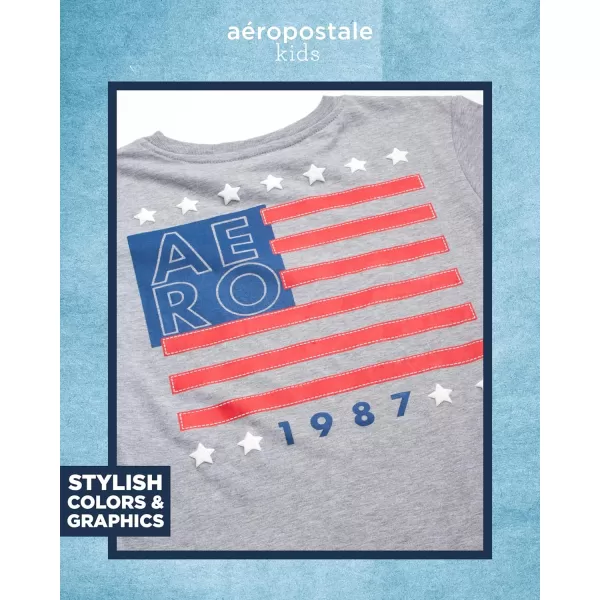 AEROPOSTALE Boys Shorts Set  2 Piece Short Sleeve TShirt and Fleece Sweat Shorts  Summer Outfit for Boys 412Grey Red