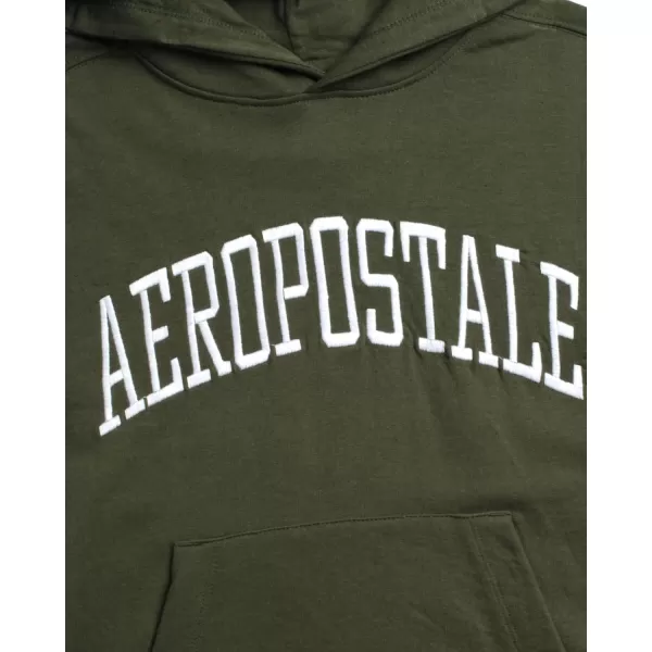 AEROPOSTALE Boys Sweatshirt  Fleece Pullover Hoodie Sweatshirt  Kids Fashion Hooded Sweatshirt 412Clover