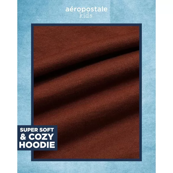 AEROPOSTALE Boys Sweatshirt  Fleece Pullover Hoodie Sweatshirt  Kids Fashion Hooded Sweatshirt 412Tortoise Shell