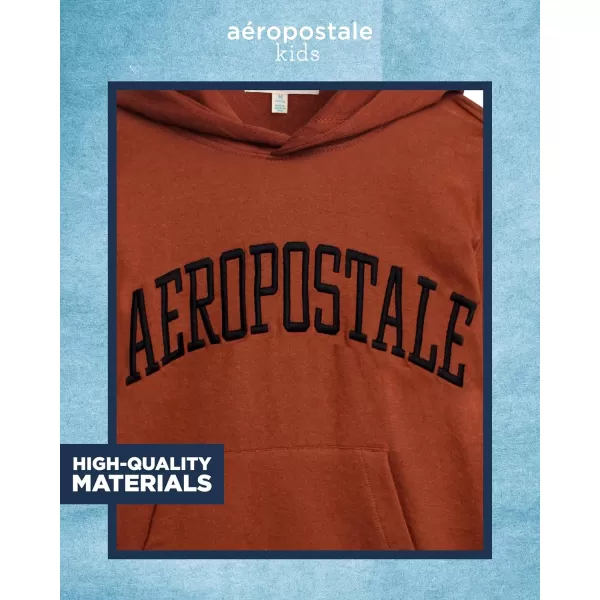 AEROPOSTALE Boys Sweatshirt  Fleece Pullover Hoodie Sweatshirt  Kids Fashion Hooded Sweatshirt 412Tortoise Shell