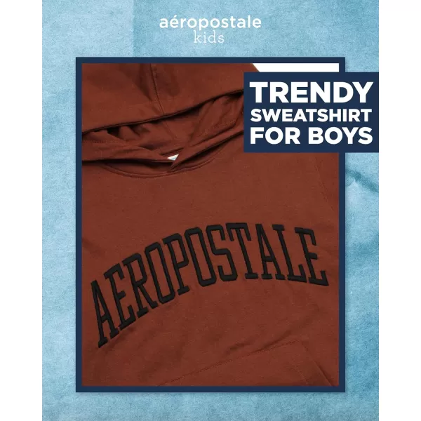 AEROPOSTALE Boys Sweatshirt  Fleece Pullover Hoodie Sweatshirt  Kids Fashion Hooded Sweatshirt 412Tortoise Shell