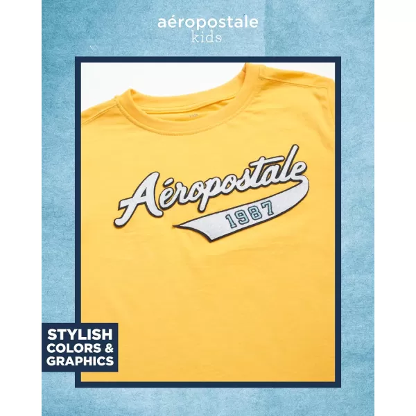 AEROPOSTALE Boys Sweatsuit Set  3 Piece Fleece Zip Hoodie Sweatshirt Cargo Jogger Sweatpants and TShirt 416NavyGold