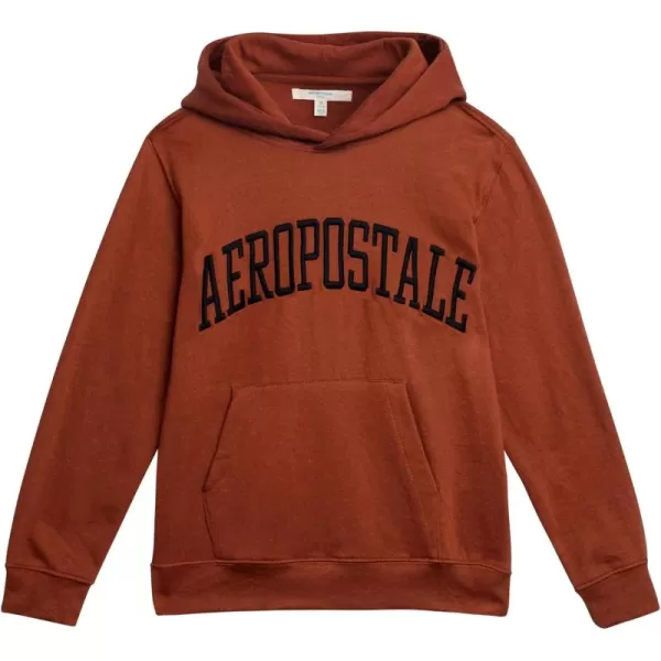 AEROPOSTALE Boys Sweatshirt  Fleece Pullover Hoodie Sweatshirt  Kids Fashion Hooded Sweatshirt 412Tortoise Shell