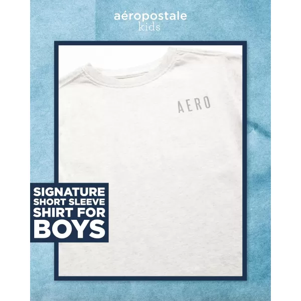 AEROPOSTALE Boys TShirt  Kids Classic Crewneck Shirt with Vibrant Back Graphics  Short Sleeve Graphic Tee for Boys 416Oatmeal
