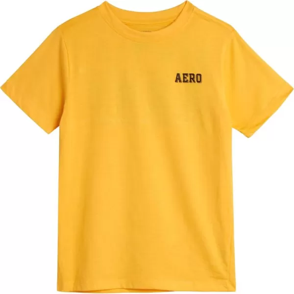 AEROPOSTALE Boys TShirt  Kids Classic Crewneck Shirt with Vibrant Back Graphics  Short Sleeve Graphic Tee for Boys 416Gold