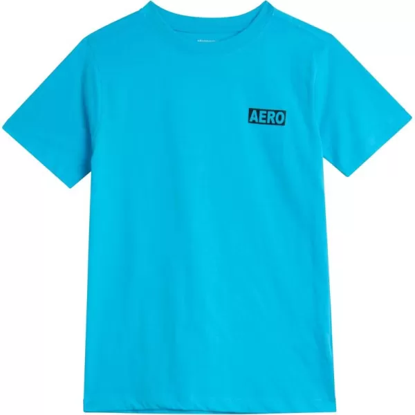 AEROPOSTALE Boys TShirt  Kids Classic Crewneck Shirt with Vibrant Back Graphics  Short Sleeve Graphic Tee for Boys 416Riviera Blue