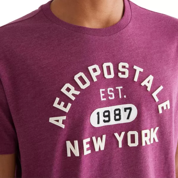 AEROPOSTALE Mens Arch Logo Short Sleeve TeeMagenta Purple