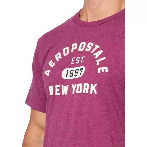 AEROPOSTALE Mens Arch Logo Short Sleeve TeeMagenta Purple