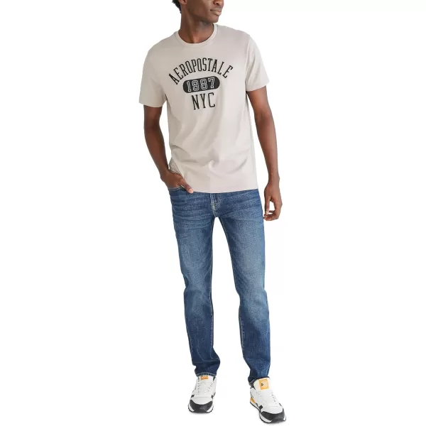 AEROPOSTALE Mens Arch Logo Short Sleeve TeeSatellite