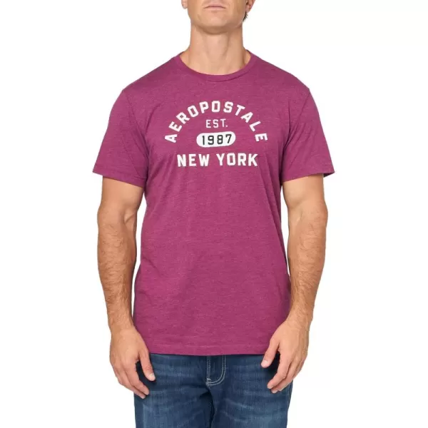 AEROPOSTALE Mens Arch Logo Short Sleeve TeeMagenta Purple
