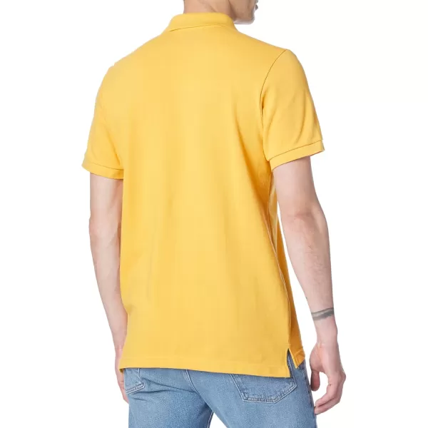 AEROPOSTALE Mens PoloButternut