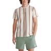 imageAEROPOSTALE Mens Vertical Stripe Graphic TeeKhaki