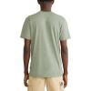 imageAEROPOSTALE Mens Box GraphicSucculent