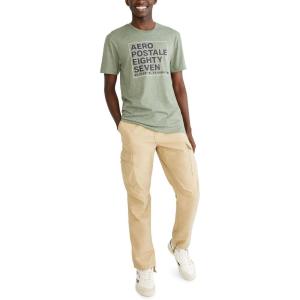 imageAEROPOSTALE Mens Box GraphicSucculent