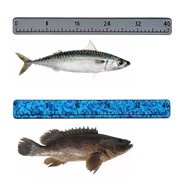 imageKXKZREN Foam Fish RulerStrong Adhesive Backing  32quot 40quot Fishing Measurement ToolWaterproof and Easy to Cleanfor Fishing Boats Yacht Coolers ampamp KayaksJungle