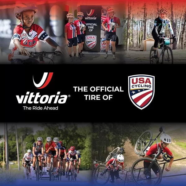 imageVittoria Universal Tubeless Tire Sealant  Tubeless Bike Tire Sealant  Ammonia Free Sealant for All BikesCompact