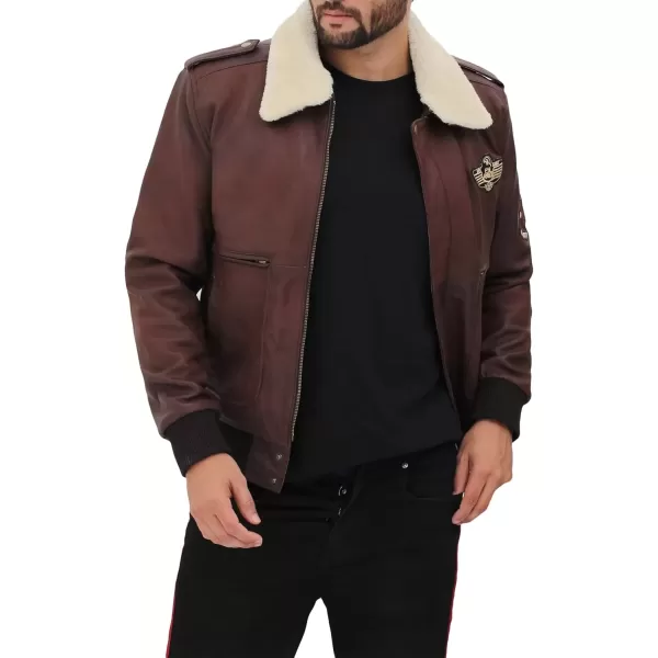 imageBlingsoul Shearling Leather Jackets for Men  Swedish Bomber Real Leather JacketPierson  Brown Jacket