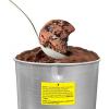 imageAmericana by Elite Pint Perfect EIM1205DB Ice Cream Maker 2 x 1 Pint Capacity Dual Freezing Mugs Frozen Yogurt Sorbet Gelato Recipes PeriwinklePine