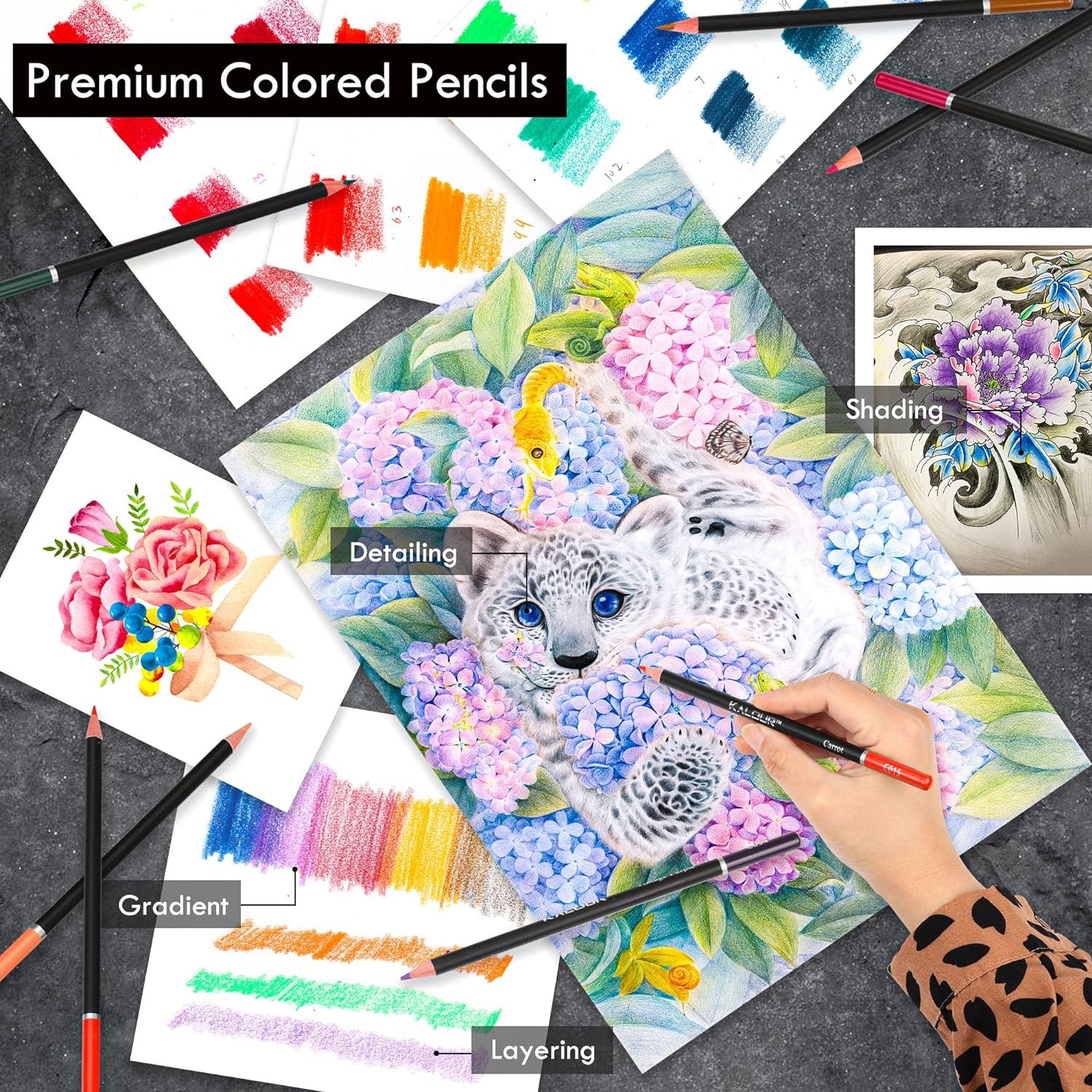 imageKALOUR 144 Pack Drawing Sketching Coloring SetInclude 120 Professional Soft Core Colored PencilsSketch ampamp Charcoal PencilsSketchbookArt Drawing Supplies for Artists Adults Beginner