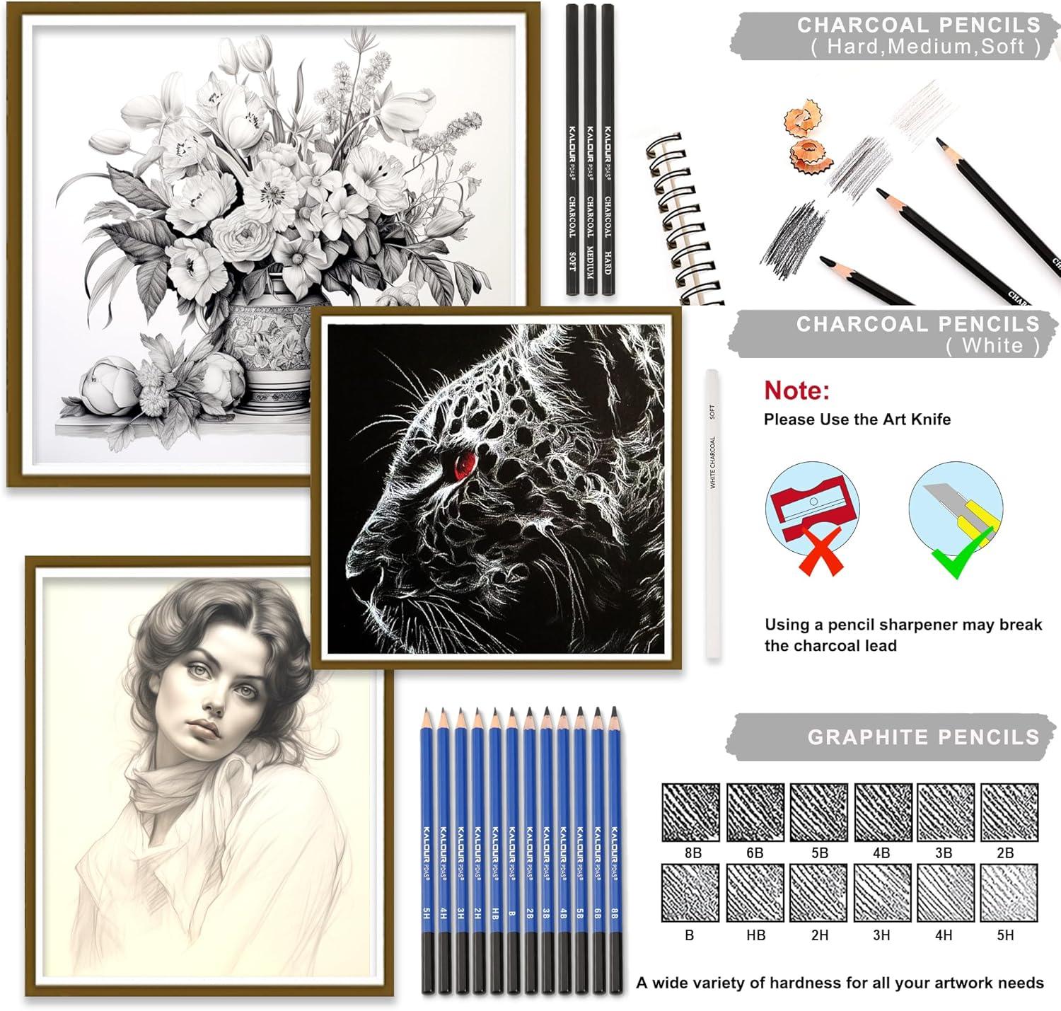 imageKALOUR Sketching Coloring Art Set  38 Pieces Drawing Kit with Sketch PencilsColored PencilsCharcoalMarkerEraser Portable Zippered Travel Case  Art Supplies for Artists Beginners Adults Kids