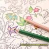 imageKALOUR Colorless Blender and Burnisher Pencils SetNonpigmented Wax Based Pencilperfect for Blending Softening Edgesideal for Colored PencilsArt Supplies for Artists Beginners6 Pencils Total