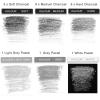 imageKALOUR 24 Pro Charcoal Drawing Set  SoftMediumHard Charcoal and White Charcoal  Charcoal Sticks for Drawing Sketching Shading  Art Supplies Gift for Artists Beginners Adults