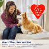 imageBISSELL Limited Edition Woodland Pine MultiSurface Wash FormulaCleaning Agent