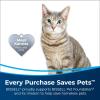 imageBissell Pet Stain ampamp Odor Remover  Sanitize Formula 22 oz 2 Pack 112992 Count Pack of 1
