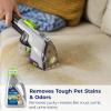 imageBissell Professional Pet Carpet Cleaner Shampoo 48 Ounce SilverFebreze