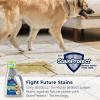 imageBissell Professional Pet Carpet Cleaner Shampoo 48 Ounce SilverFebreze