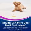 imageBissell Woolite Advantage Pet Stain ampamp Odor Remover  Oxy 2Pack 3326