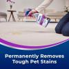 imageBissell Woolite Advantage Pet Stain ampamp Odor Remover  Oxy 2Pack 3326