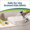 imageBissell Woolite Free ampamp Clear Pet Stain ampamp Odor Remover 22oz Pack of 2 2719