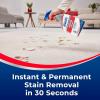 imageWoolite Advantage INSTAclean 440 Fl Oz Pack of 2